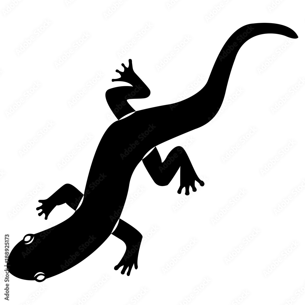 Vector image of silhouette of a lizard of salamanders on a white background Vector image of silhouette of a lizard of salamanders on a white background