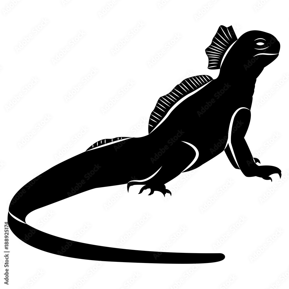 Vector image of silhouette of iguana lizard on white background Vector image of silhouette of iguana lizard on white background