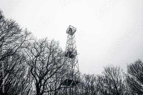 Lighthouse in monochrome colors in a forest