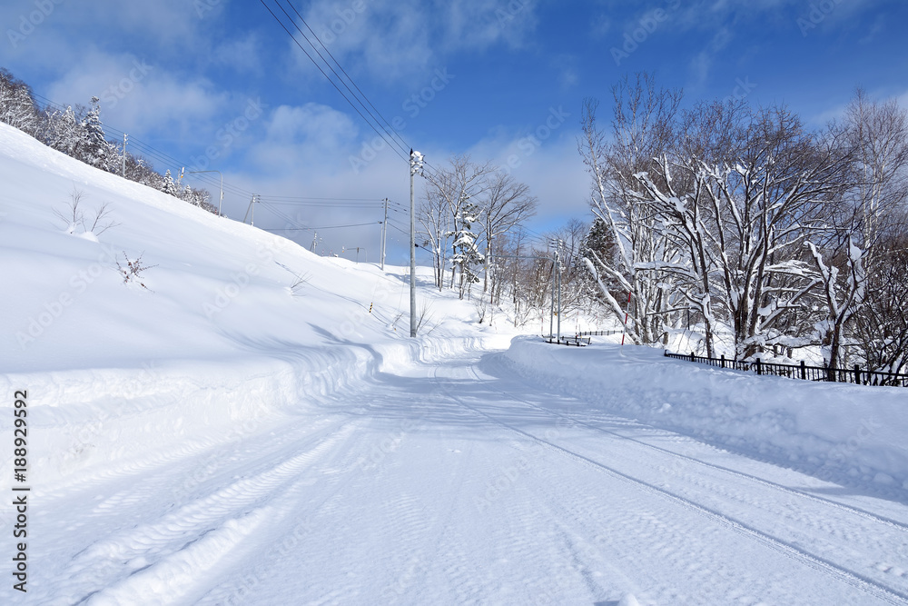 Obraz premium 雪に覆われた道路