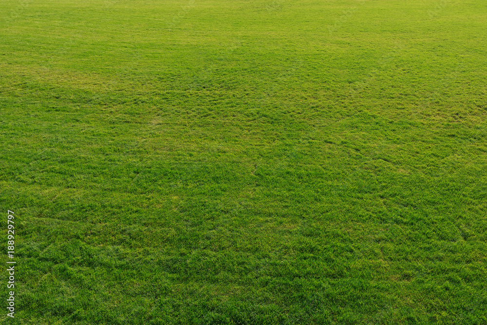 Lush green grass on a football field as a background or a backdrop Lush green grass on a football field as a background or a backdrop