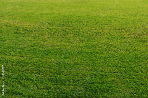 Lush green grass on a football field as a background or a backdrop