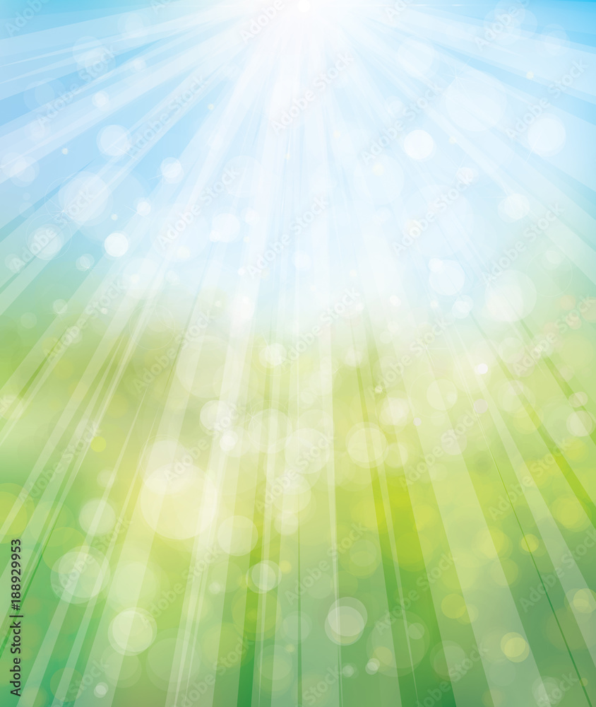 Naklejka premium Vector summer, nature background, blurred effect.