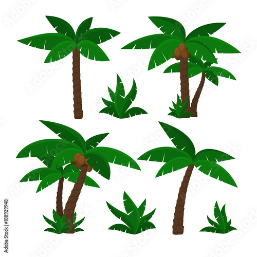 Palm trees isolated on white background. Beautiful vectro palma tree set vector illustration