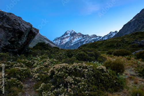 landscape of mt.cook national park, New Zealand