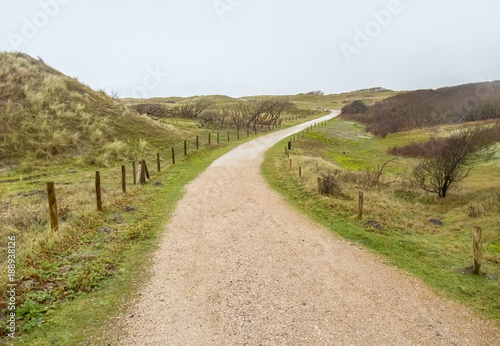 coastal dune scenery