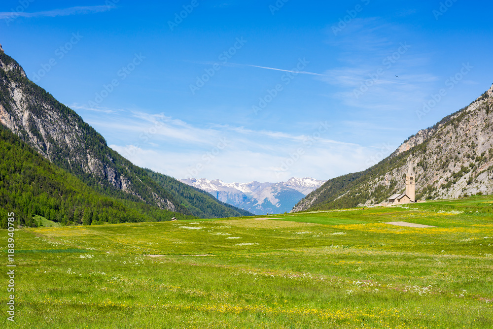 Summer in the Alps. Blooming alpine meadow and lush green woodland set amid high altitude mountain range.