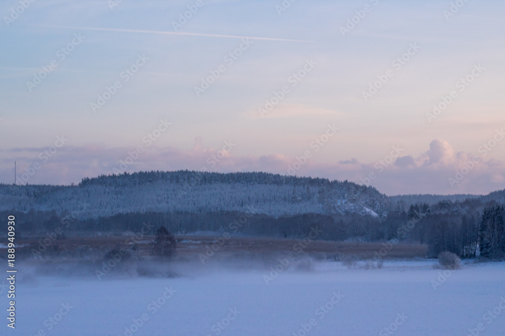 Winter landscape