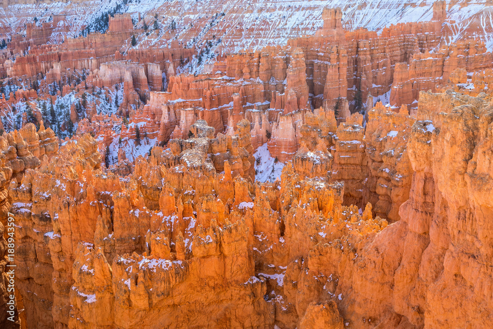 Bryce Canyon National Park Winter Landscape