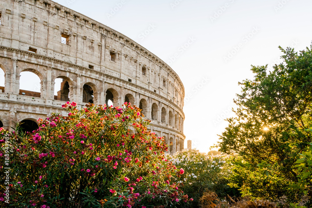 The Colosseum, or Coliseum, also known as the Flavian Amphitheatre, is an oval amphitheatre in the centre of the city of Rome, Italy. 