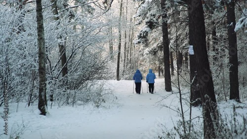 Winter sport in nordic walking. Senior womans hiking in cold forest. Active people outdoors photo