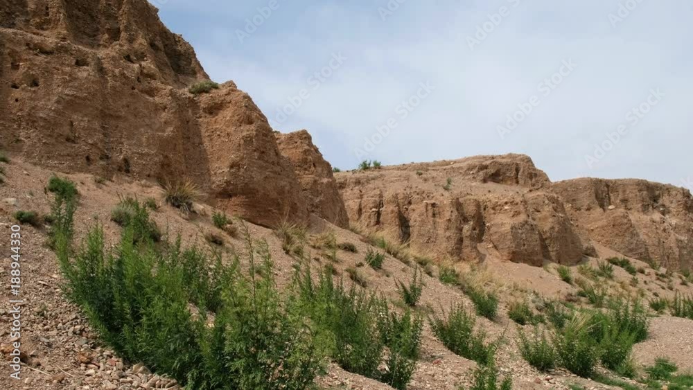 Natural mongolian arid grassland landscape with Achnatherum splendens and nettle grass on foreground, clay cliffs on background. South-west Mongolia Natural mongolian arid grassland landscape with Achnatherum splendens and nettle grass on foreground, clay cliffs on background. South-west Mongolia