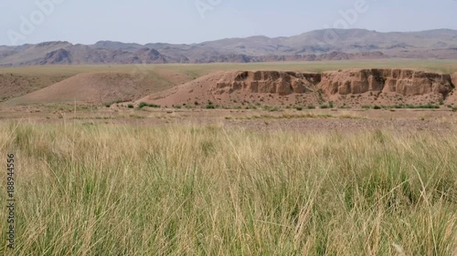 Natural mongolian arid grassland landscape with Achnatherum splendens grass on foreground, clay cliffs on middle distance and mountains on background. South-west Mongolia photo