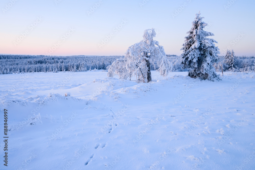 Winterlandschaft im Erzgebirge zum Sonnenaufgang