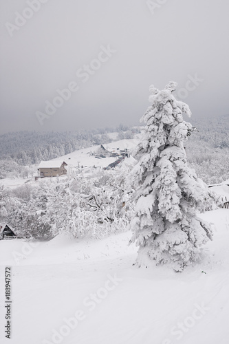 Winterlandschaft im Gebirge