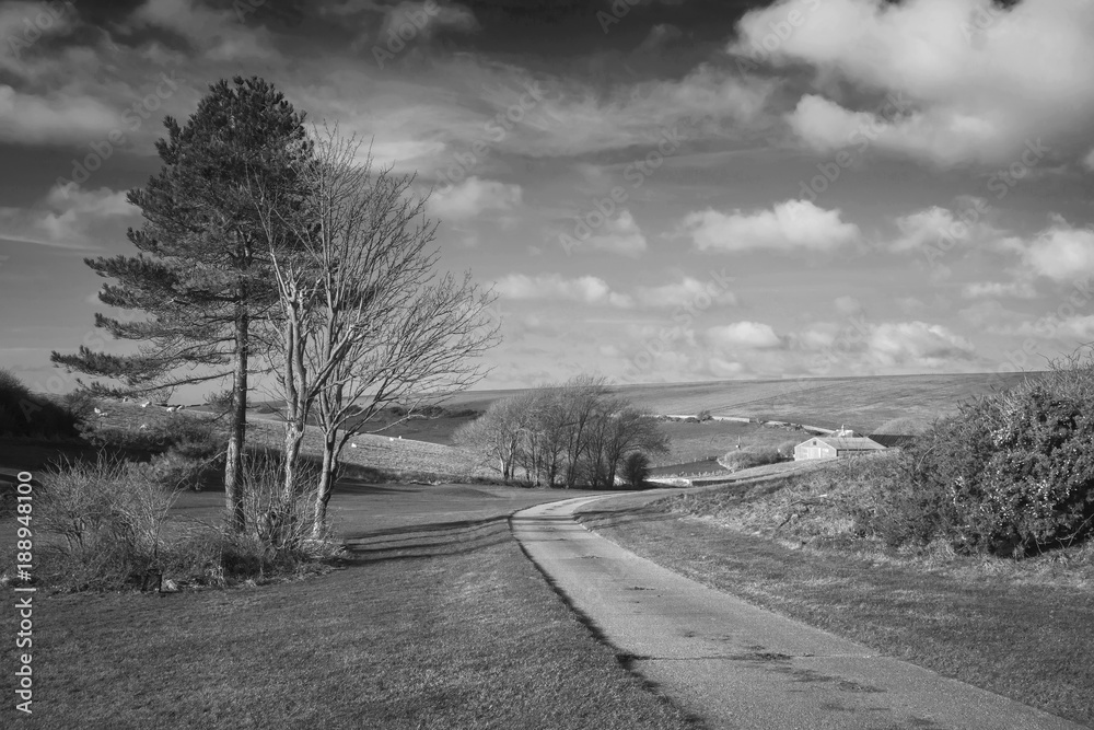 Beautiful black and white landscape image of farm and trees in Winter sunrise light Beautiful black and white landscape image of farm and trees in Winter sunrise light