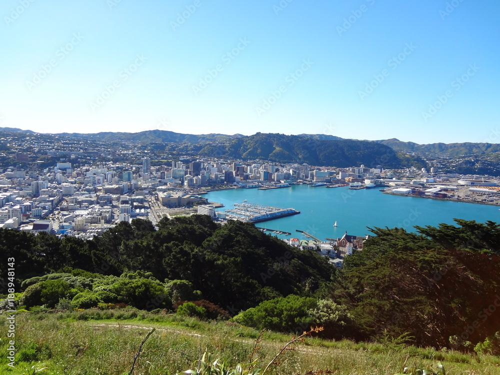 view over wellington from mount victoria