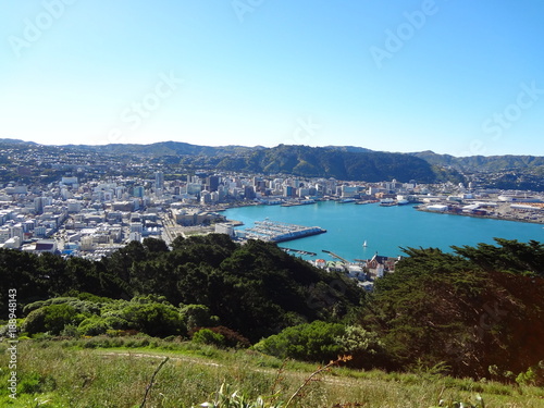 view over wellington from mount victoria