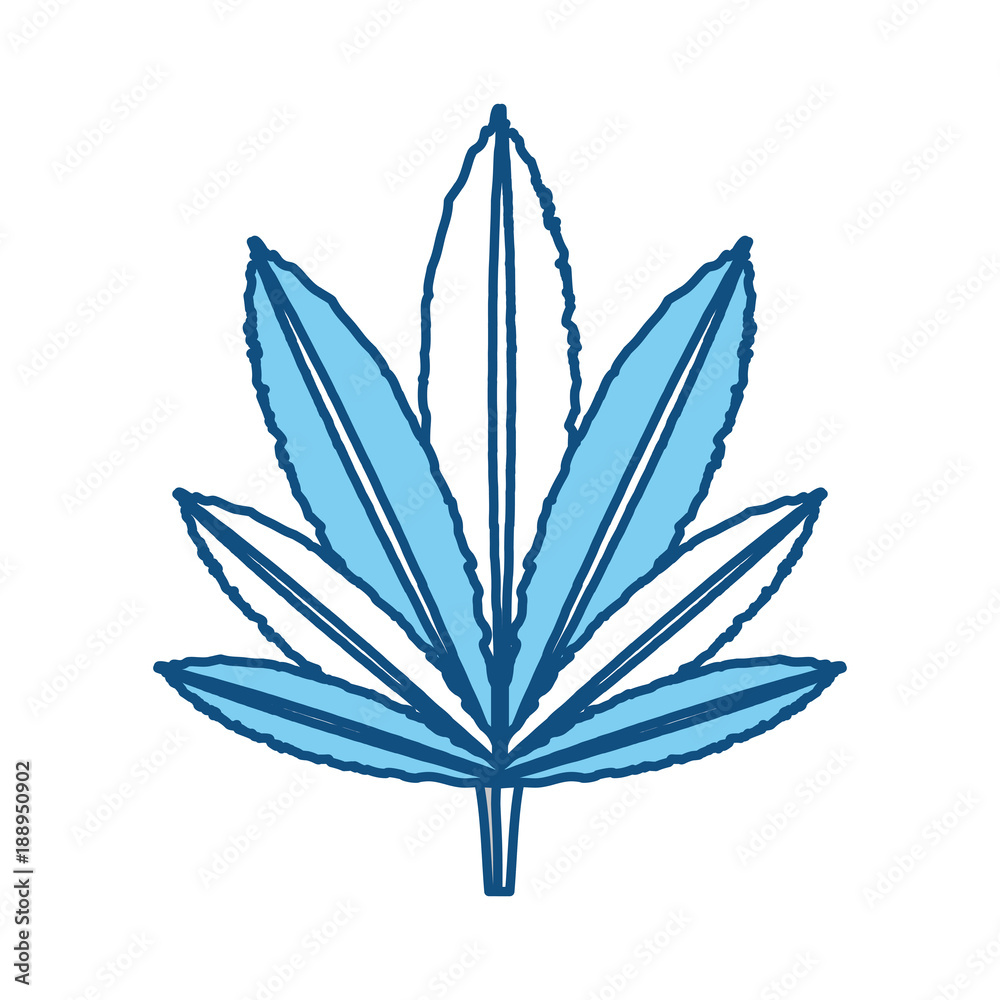marijuana leaf vector illustration marijuana leaf vector illustration