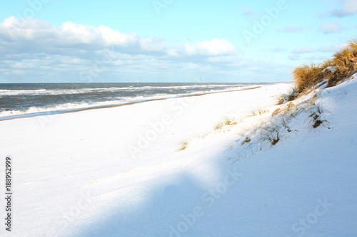 Scenic beach in winter  Atlantic coast in Jutland  Denmark