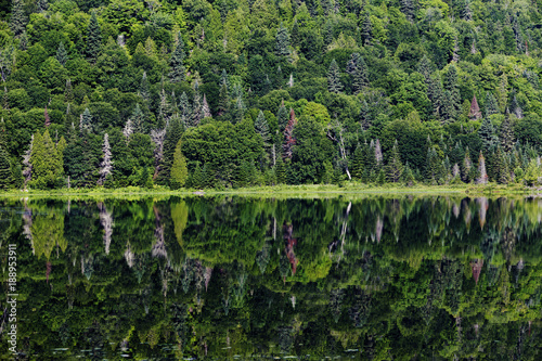 Summer morning in La Mauricie National Park, Quebec, Canada  photo