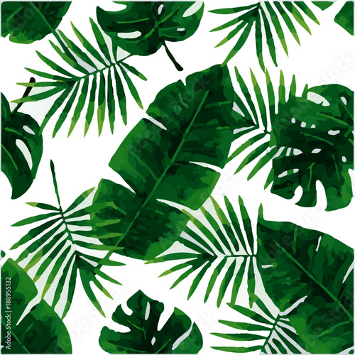 Tropical leaf