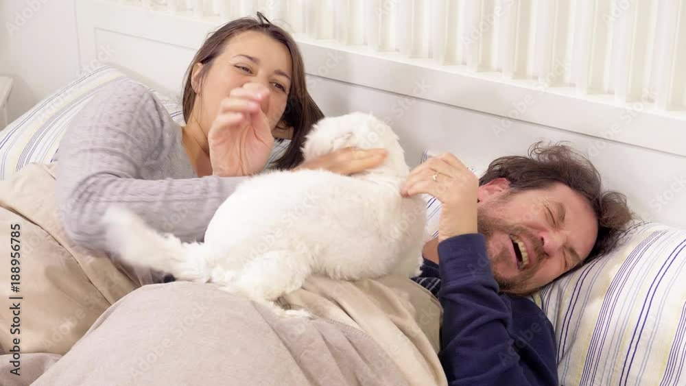 Couple in bed dog licking face of man funny slow motion 4K Couple in bed dog licking face of man funny slow motion 4K