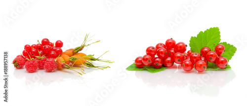 raspberry, red currant and dog rose on a white background