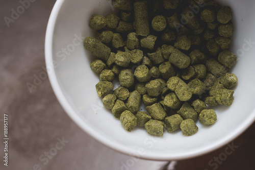 Throwing the pressed green hop into the must of craft beer. Craft beer brewing from grain barley pale malt in process. Ale or lager from pilsner malt. photo