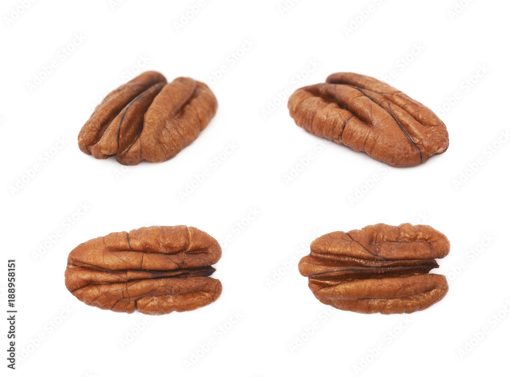 Single pecan nut isolated