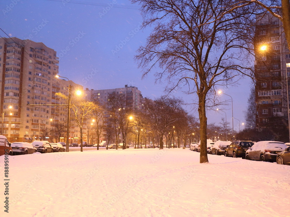 snow-covered pedestrian path in the park snow-covered pedestrian path in the park