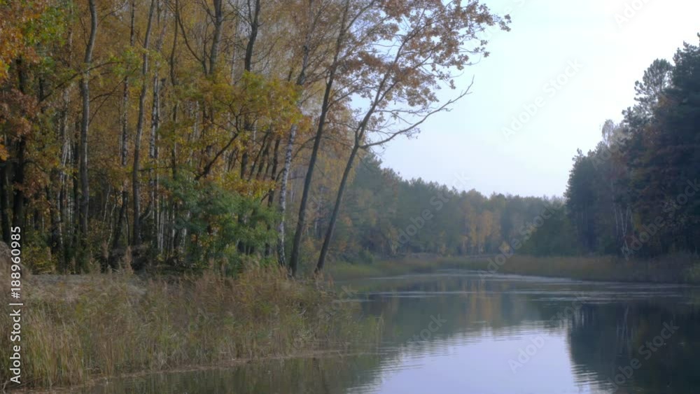 river flows through a beautiful autumn forest, tranquility and pacification river flows through a beautiful autumn forest, tranquility and pacification