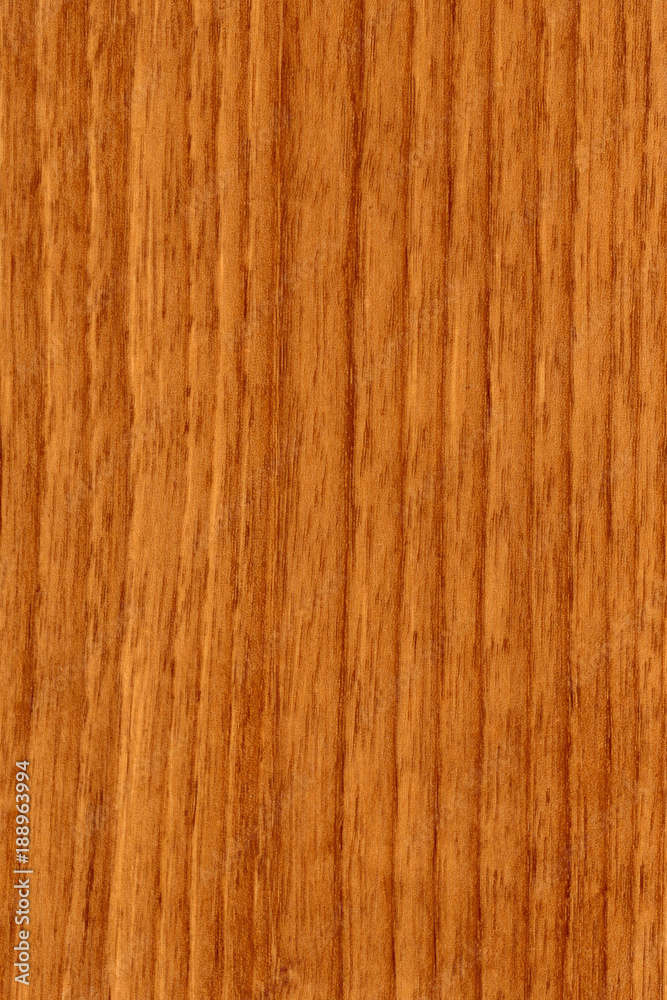 Fototapeta premium Walnut Wood background for any purpose 