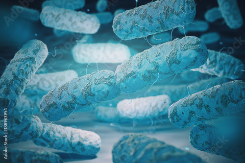 Enterobacterias. Gram-negative bacterias escherichia coli, salmonella, klebsiella, legionella, mycobacterium tuberculosis, yersinia pestis photo