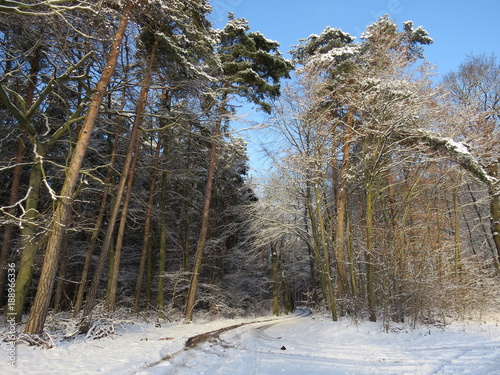 Winterlandschaft
