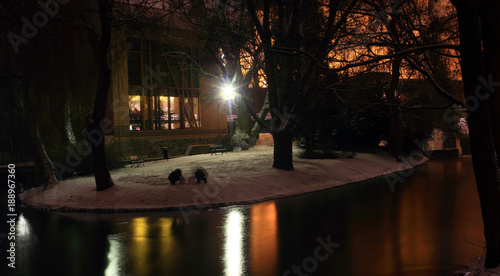 Olsztyn Nocą - Niagara i Browar 