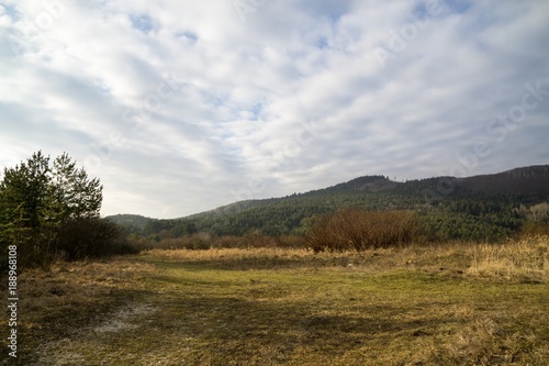 Fototapeta Naklejka Na Ścianę i Meble -  Meadow with trees and views to mountains. Slovakia