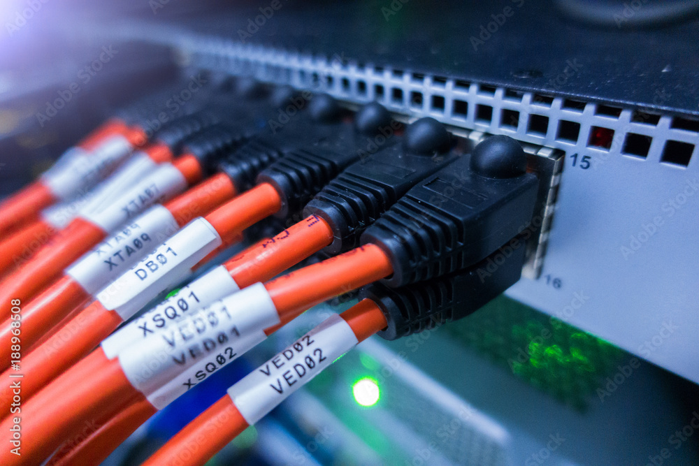 Information Technology Computer Network. Сonnector RG 45. Telecommunication Cables Connected Information Technology Computer Network. Сonnector RG 45. Telecommunication Cables Connected