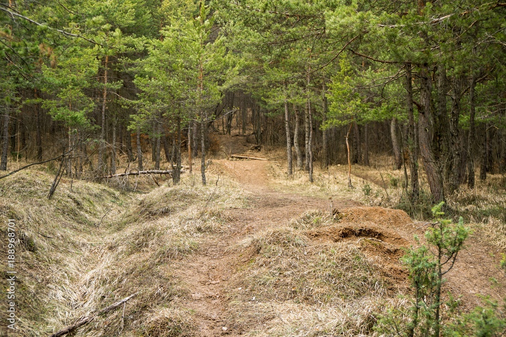 Jumping pump track trail for bicycle built in the middle of the woods. Slovakia Jumping pump track trail for bicycle built in the middle of the woods. Slovakia