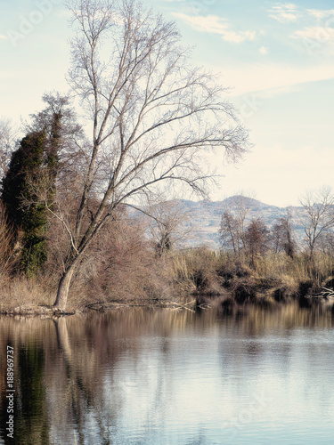 Winter lake, Europe. Vertical format.