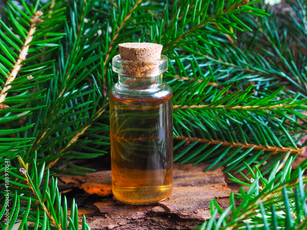 Natural fir oil in a mini bottle.
Natural fir oil in a mini bottle.