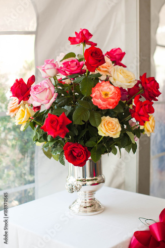 Wallpaper Mural Roses at a Flower Show Torontodigital.ca
