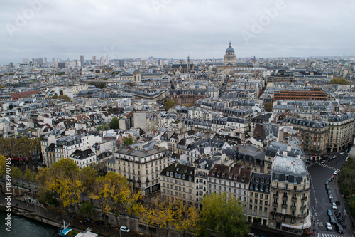 Paris from the top of Notre Dame © Davinia