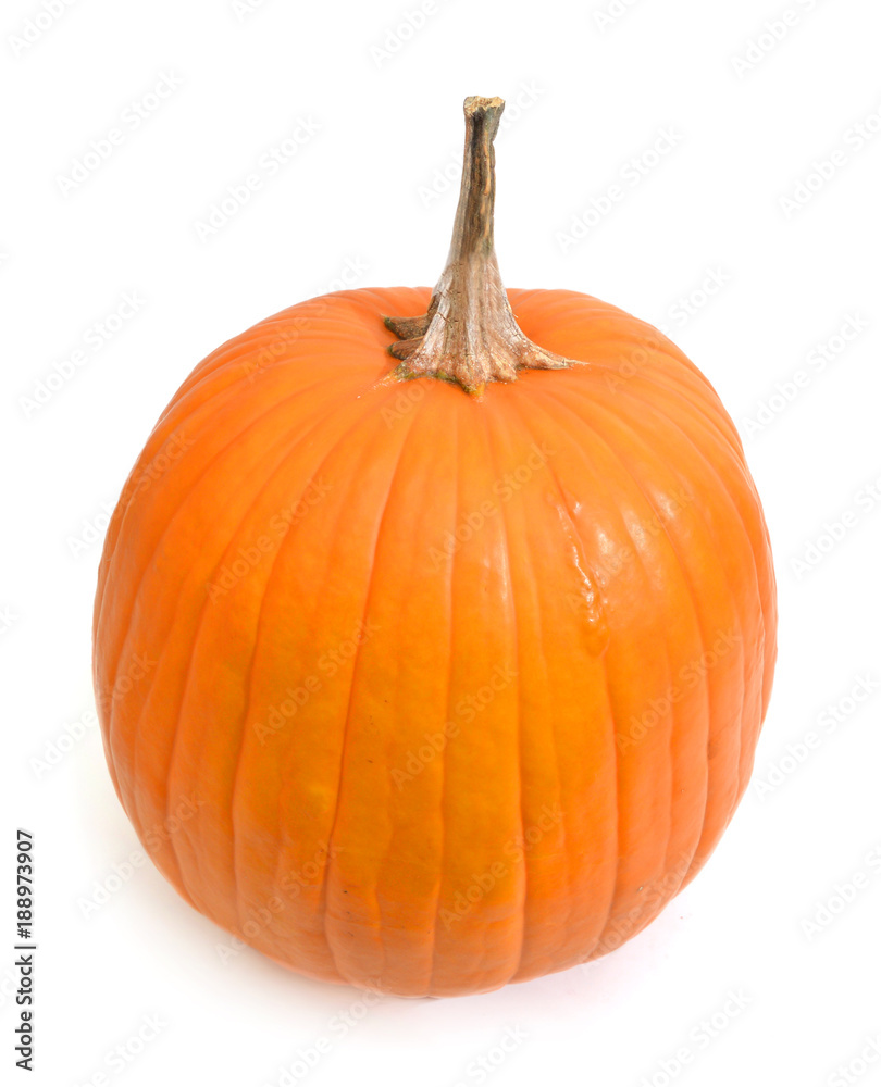 Obraz premium Big yellow pumpkin on a white background.