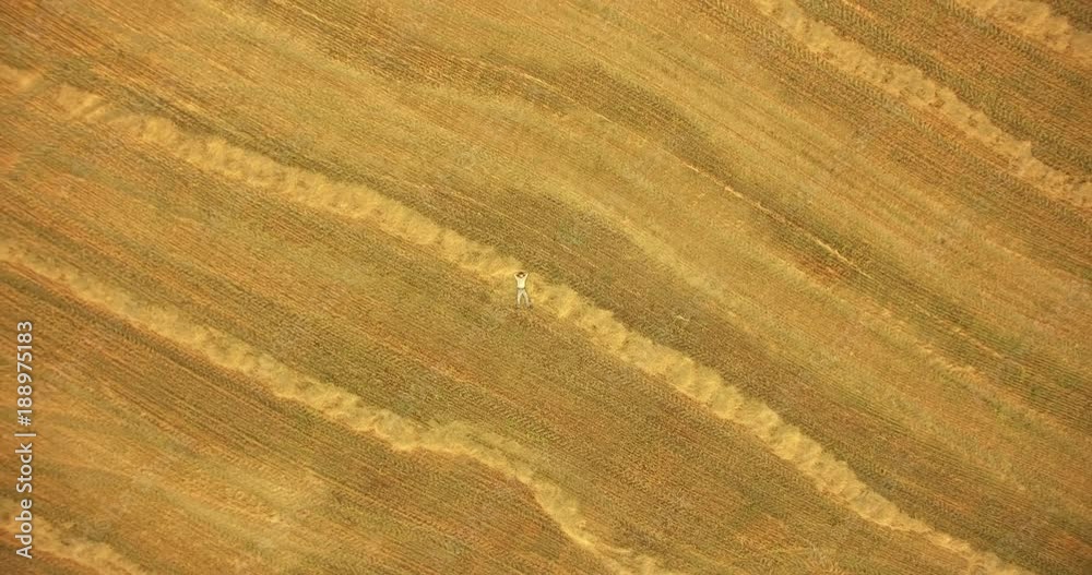 Aerial UHD 4K view. Vertical motion flight over formalwear man lying on yellow wheat field at sunny summer day. Top view on handsome relaxing man. Aerial UHD 4K view. Vertical motion flight over formalwear man lying on yellow wheat field at sunny summer day. Top view on handsome relaxing man.