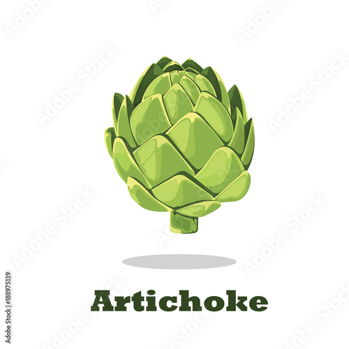 Artichoke. Vector illustration