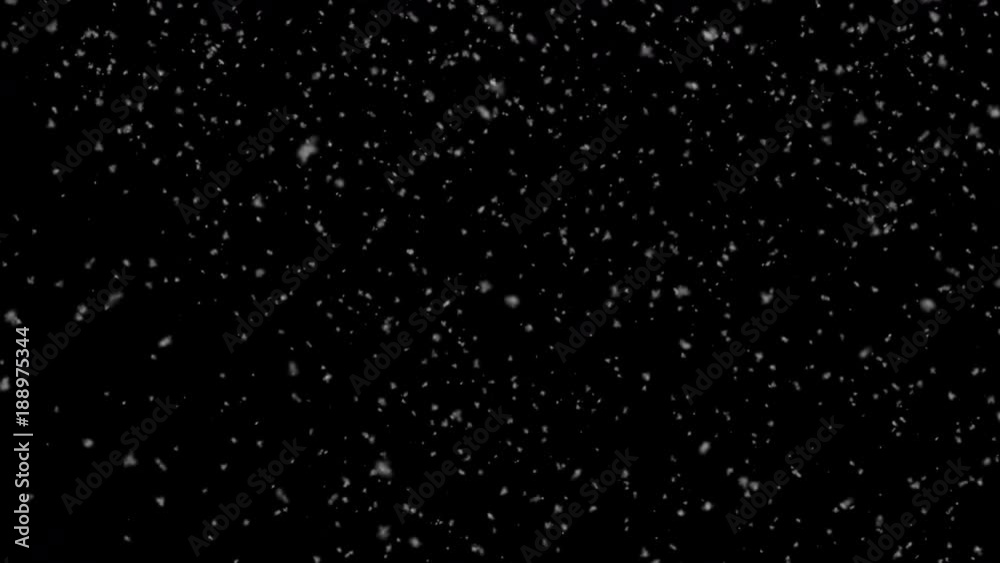 Dense Snow Loop
