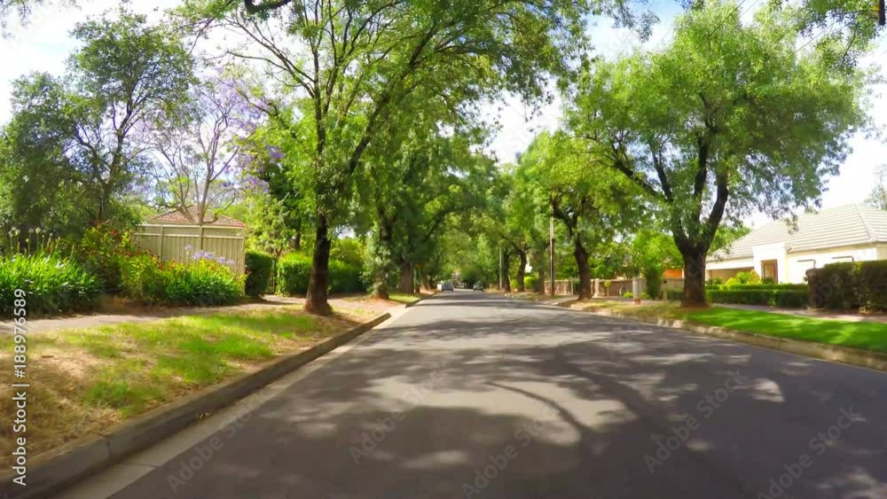 Vehicle POV driving along beautiful canopy tree lined streets Vehicle POV driving along beautiful canopy tree lined streets
