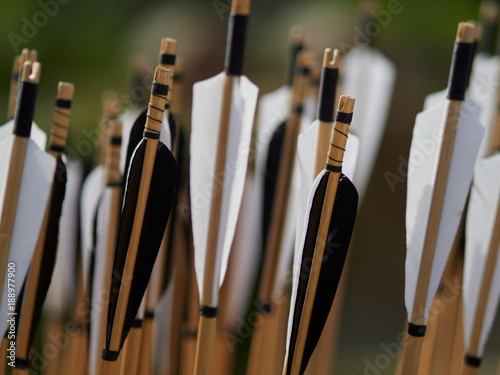 hand crafted arrows in medieval style each arrow with black and white color on the feather