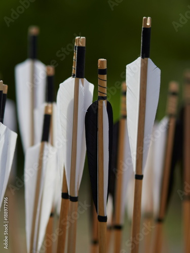 Fototapeta Naklejka Na Ścianę i Meble -  hand crafted arrows in medieval style each arrow with black and white color on the feather